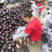 紫光圆茄紫圆茄，产地直发，一手货源，对接电商超市各大工厂