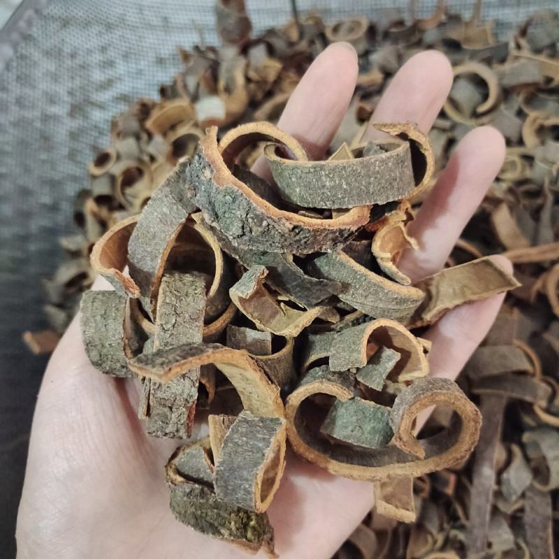 肉桂，肉桂丝，大料新货，产地货源，保质保量，批发各种中药