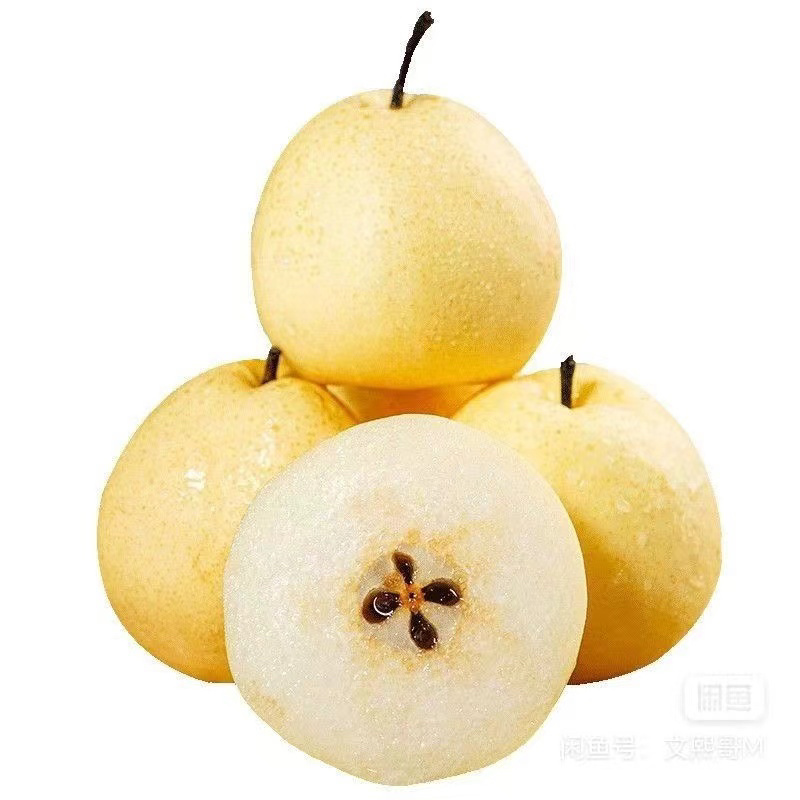 陕西精品贡梨，货源充足量大从优，质量保证，欢迎来电咨询