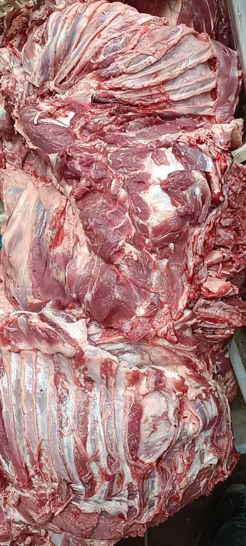 冻板羊肉，羊白条，烤全羊