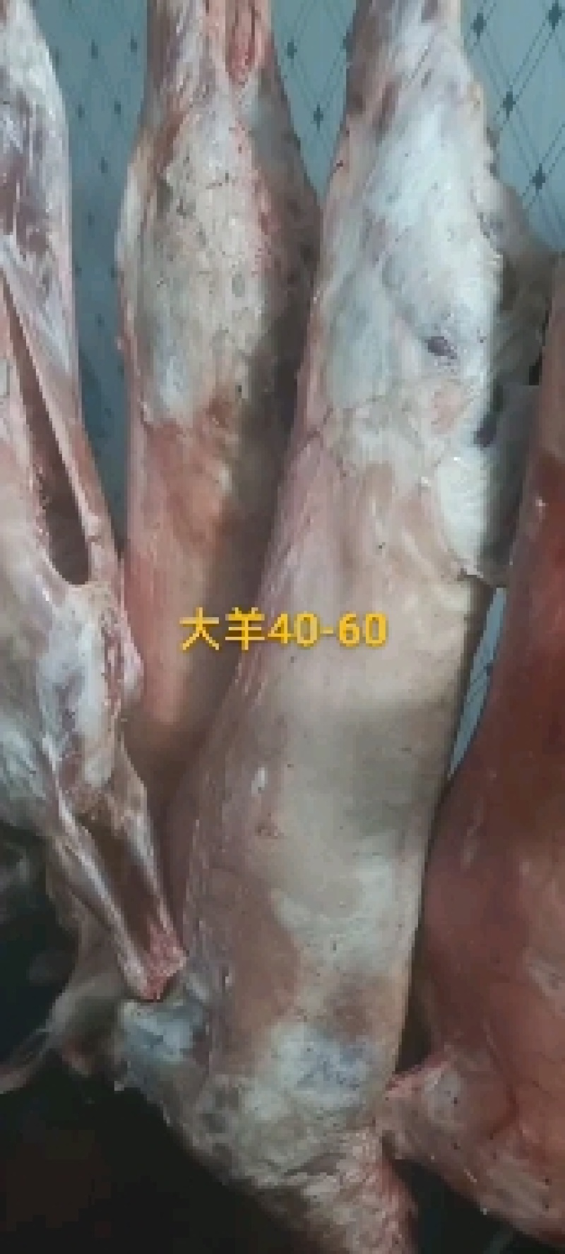 冻板羊肉，羊白条，烤全羊