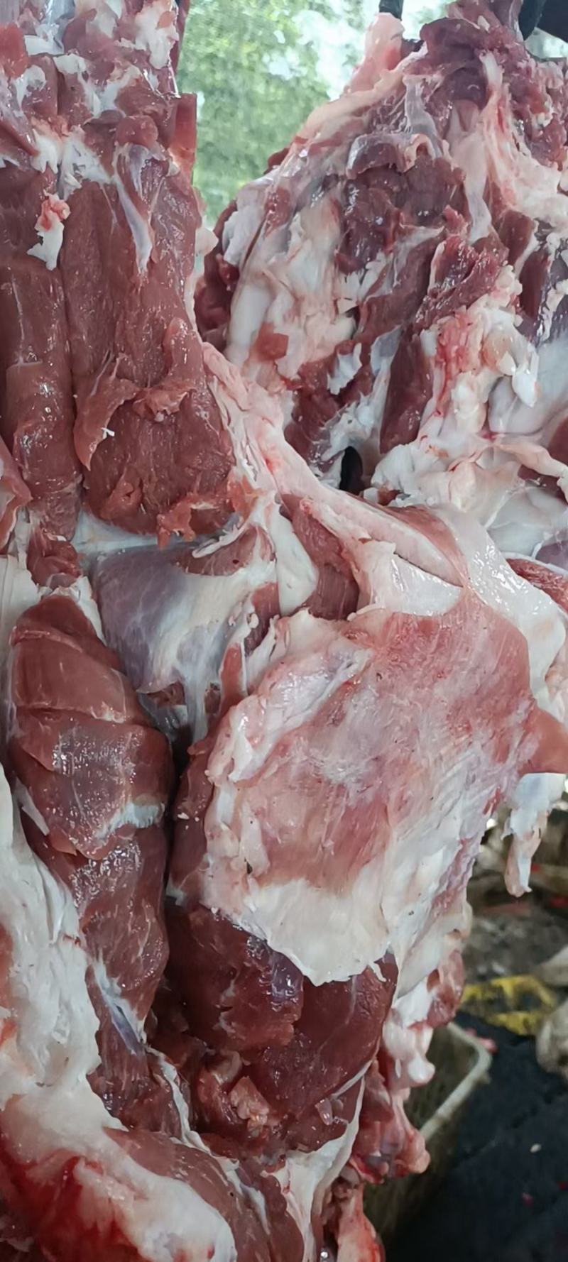 冻板羊肉，羊白条，烤全羊