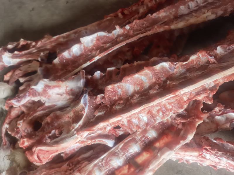 冻板羊肉，羊白条，烤全羊