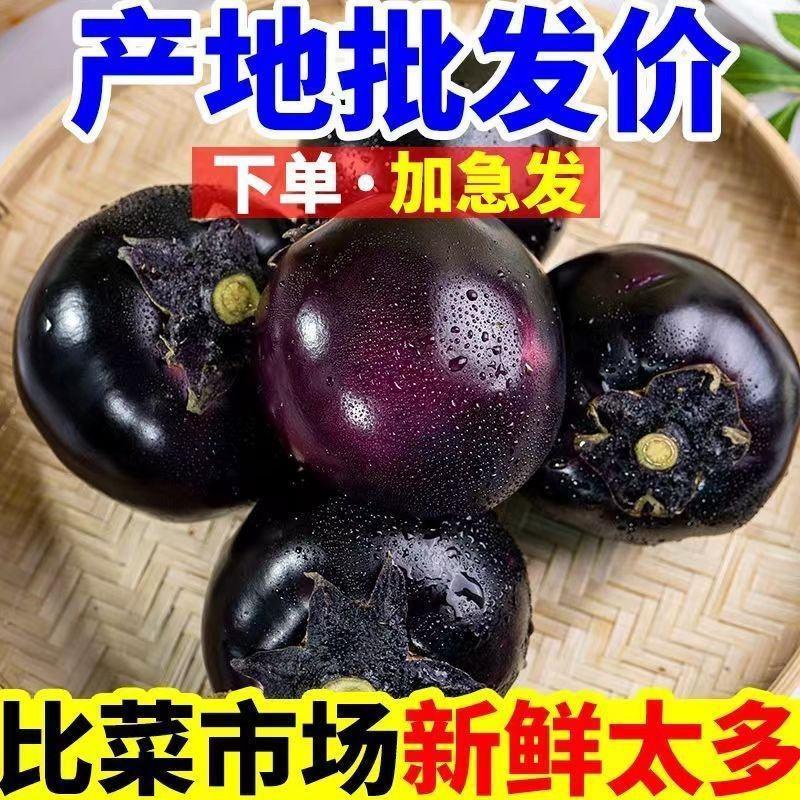 紫光圆茄紫圆茄，产地直发，一手货源，对接电商超市各大工厂