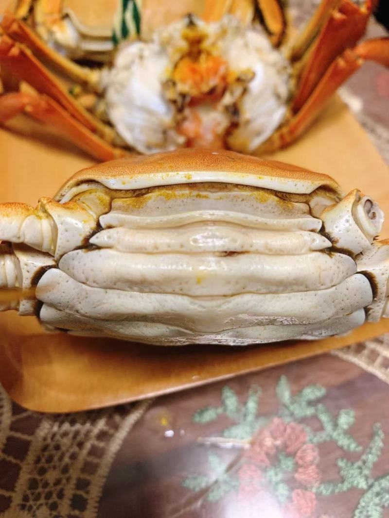 阳澄湖大闸蟹