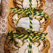 阳澄湖大闸蟹