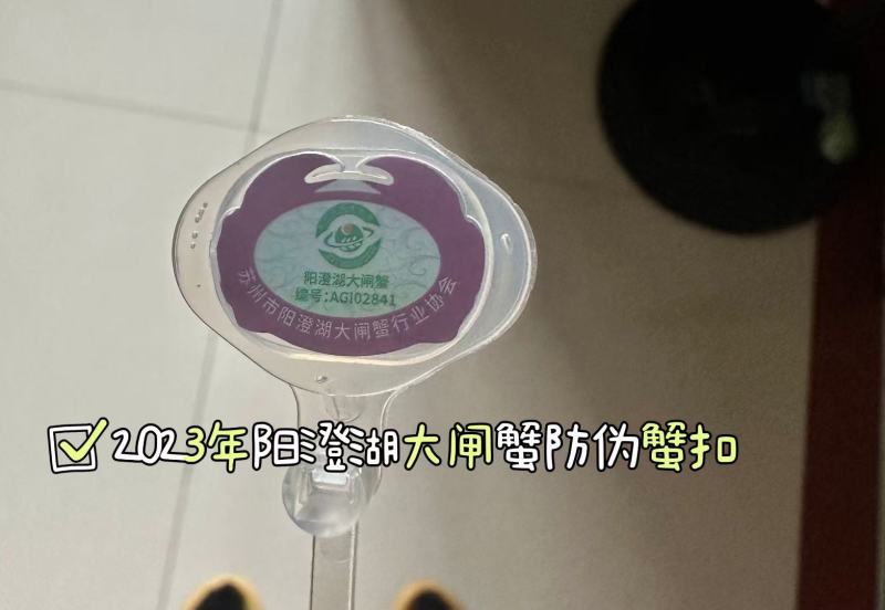 阳澄湖大闸蟹