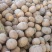 盘龙204全黄精品价格不贵质量很好