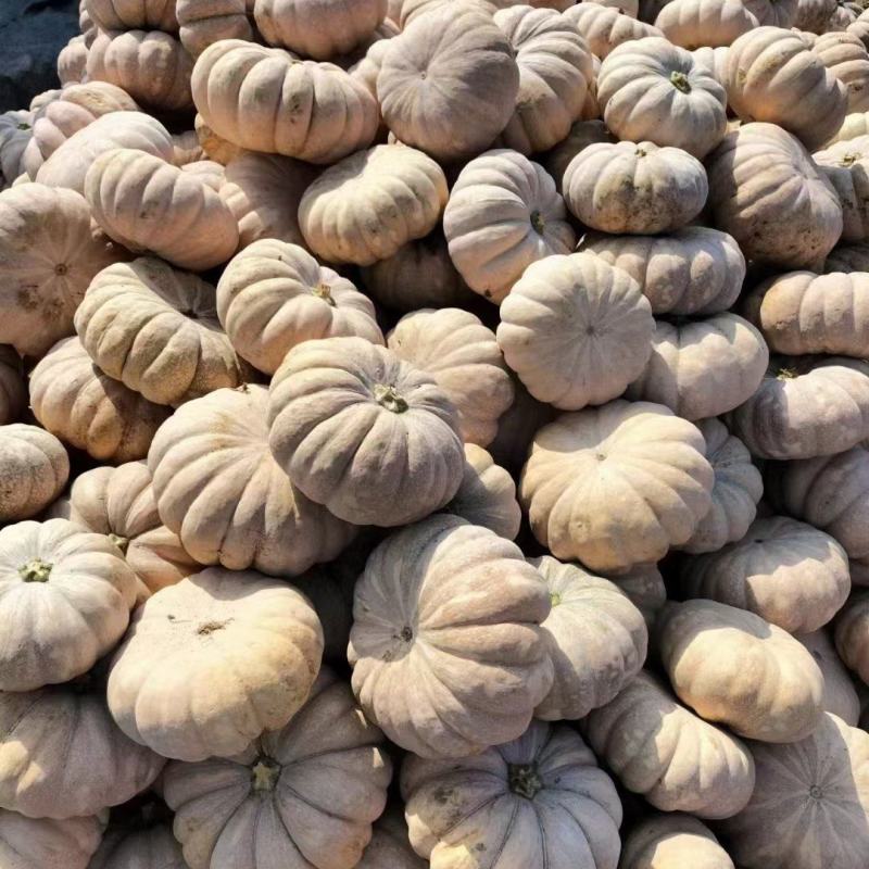 盘龙204全黄精品价格不贵质量很好