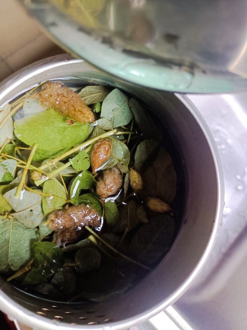 狸尾草干货