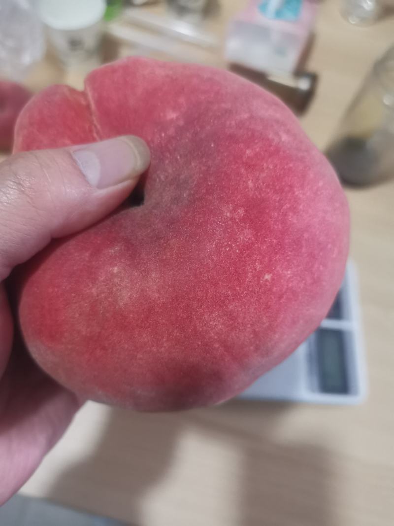 瑞蟠21还有10万斤左右