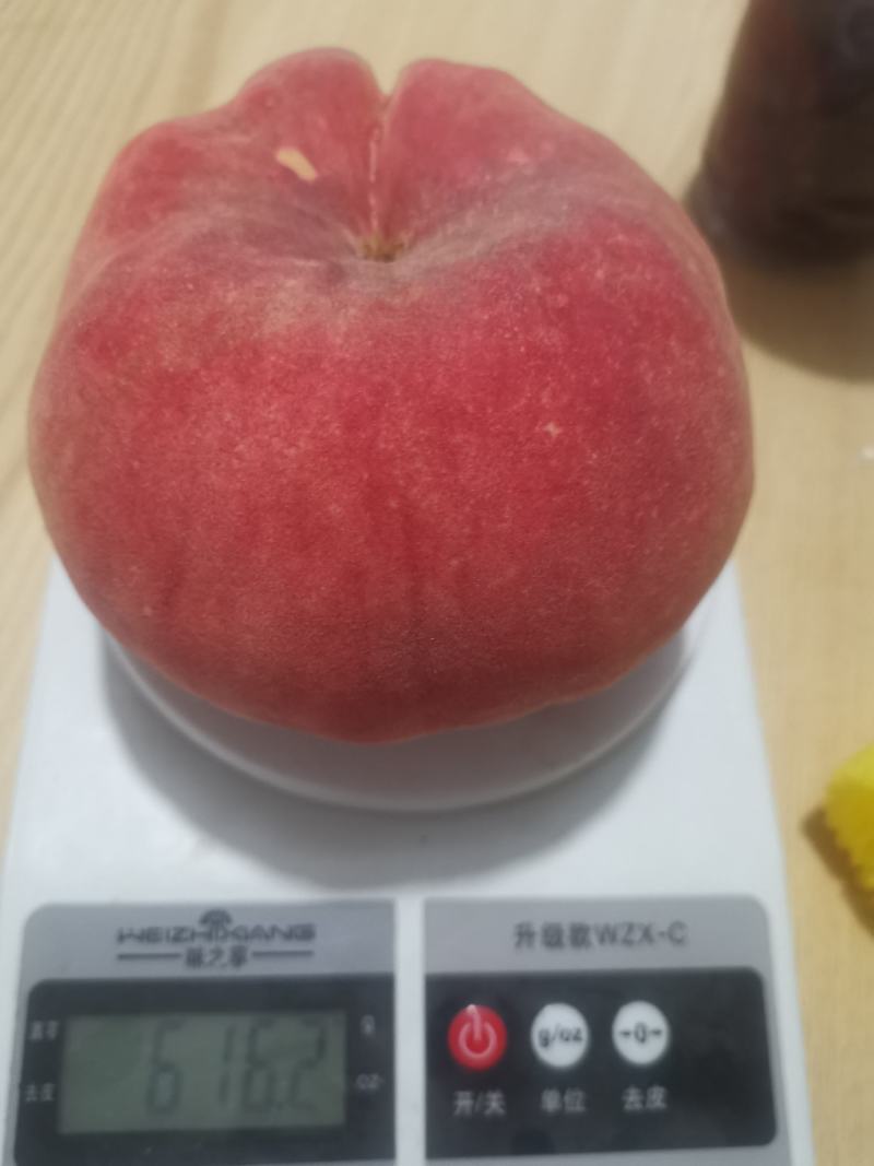 瑞蟠21还有10万斤左右
