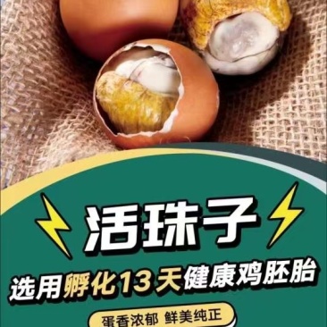 五香活珠子，五香茶叶蛋