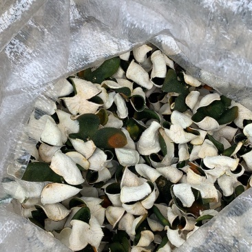 三花青皮