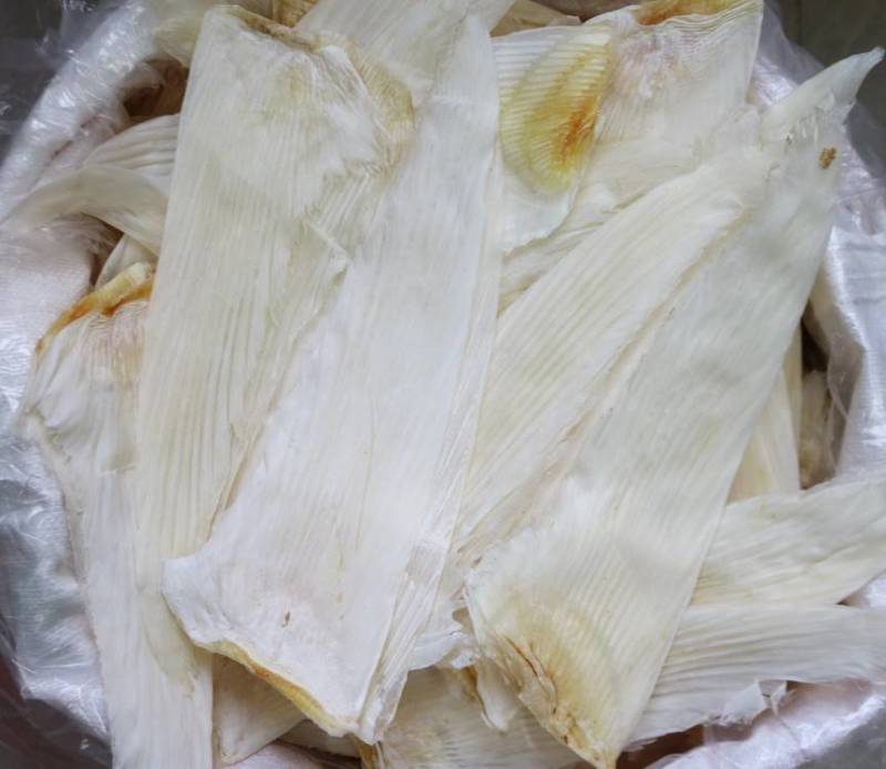 牙拣规格齐全98干度，头全部是干手平头鱼翅颜色好西班牙货