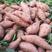 红薯龙九龙薯9号软糯香甜自家种植产地直发欢迎选购