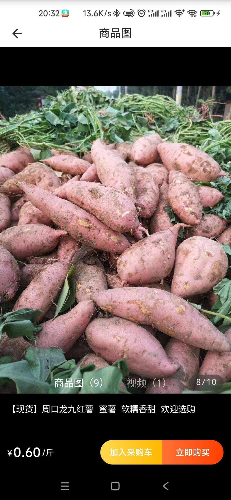红薯龙九龙薯9号软糯香甜自家种植产地直发欢迎选购
