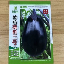 善茄荷包二号茄子种子