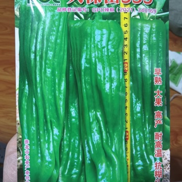 久保田999