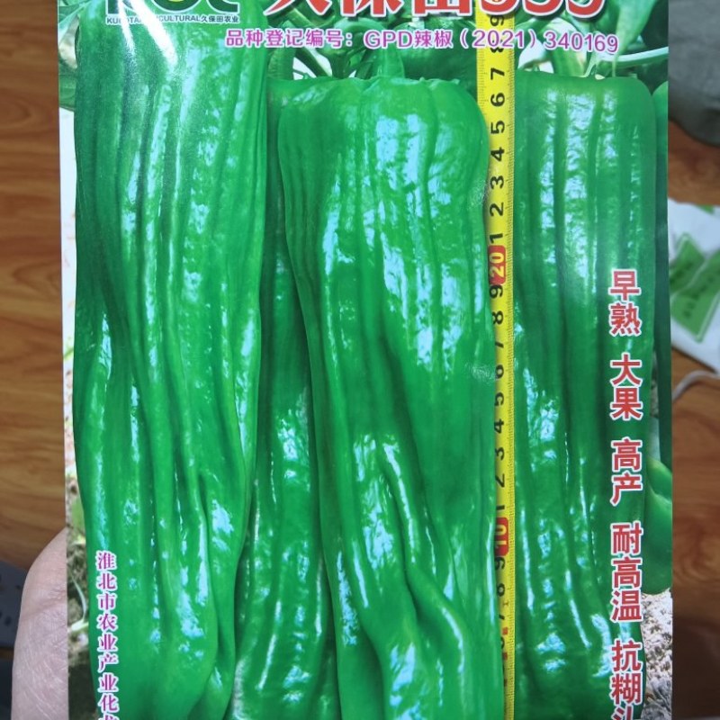 久保田999