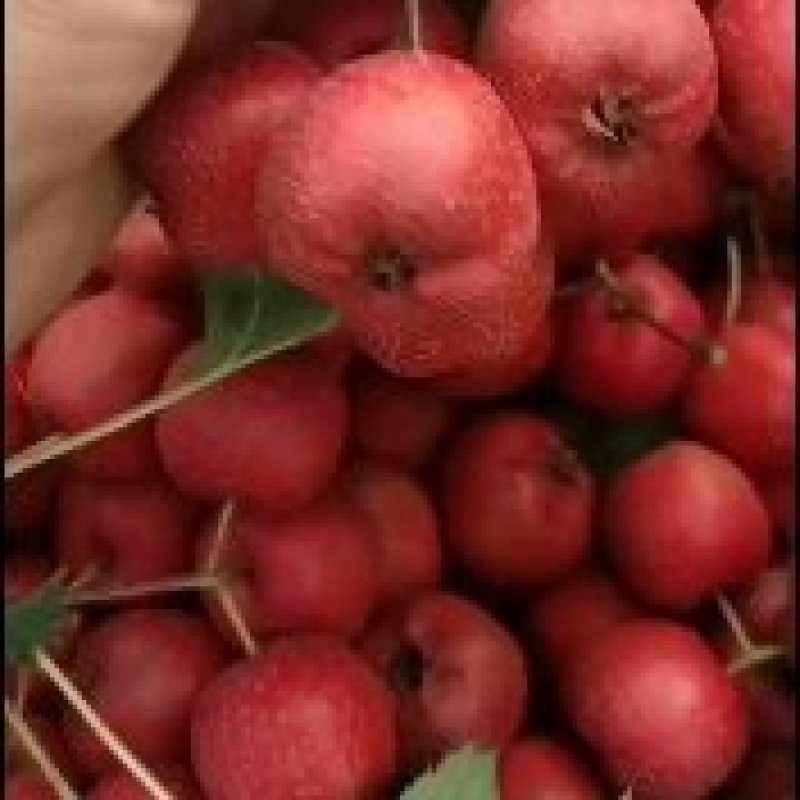 大金星市场商品剪串山楂