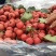 大金星市场商品剪串山楂