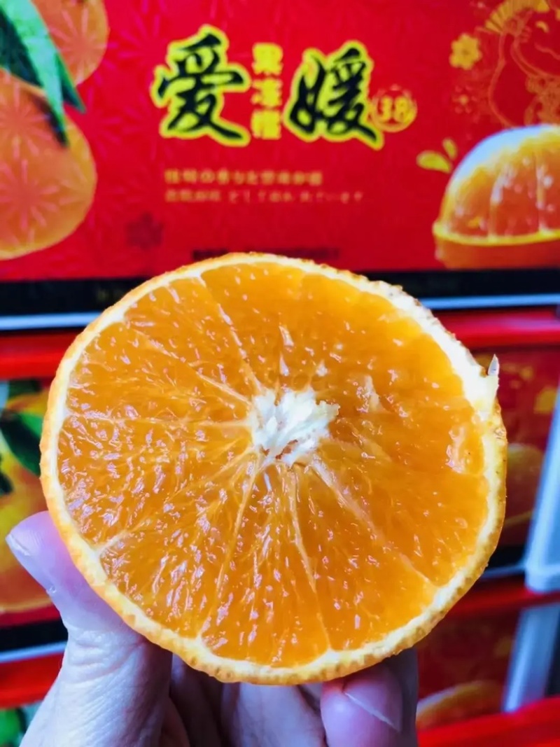 【正宗爱媛橙】果冻橙浦江爱媛现摘现发电商平台全国