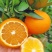 【正宗爱媛橙】果冻橙浦江爱媛现摘现发电商平台全国