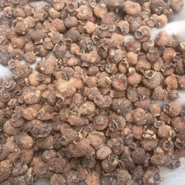 刺梨干果