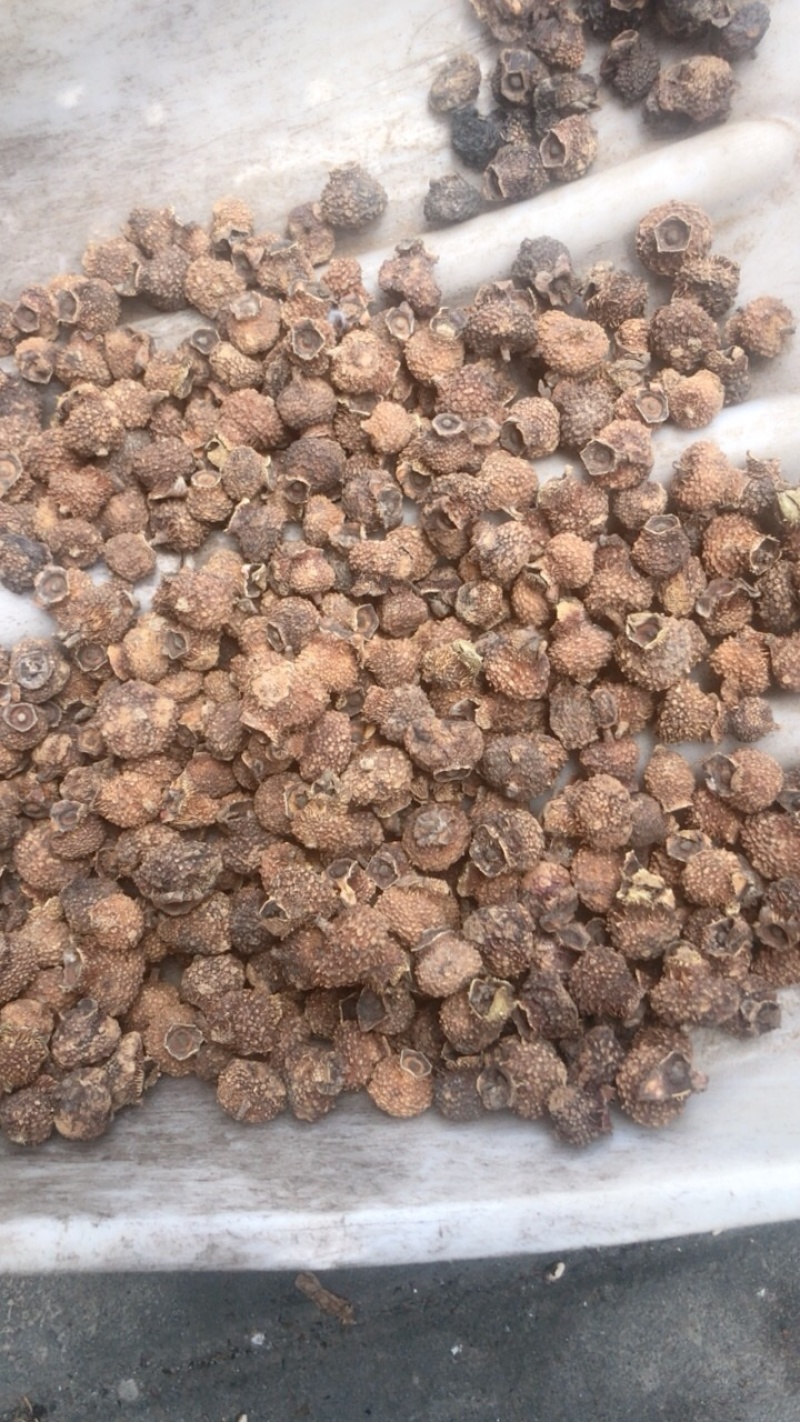 刺梨干果