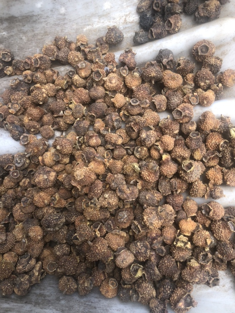 刺梨干果