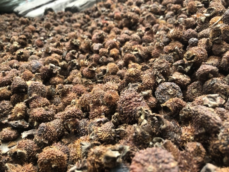 刺梨干果