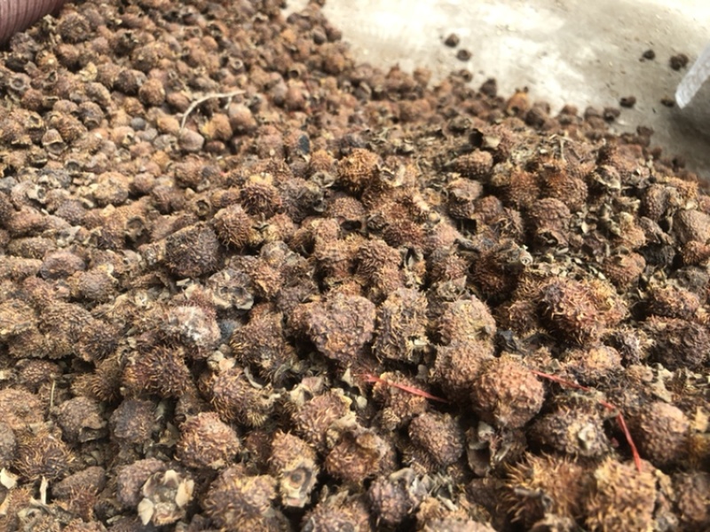 刺梨干果