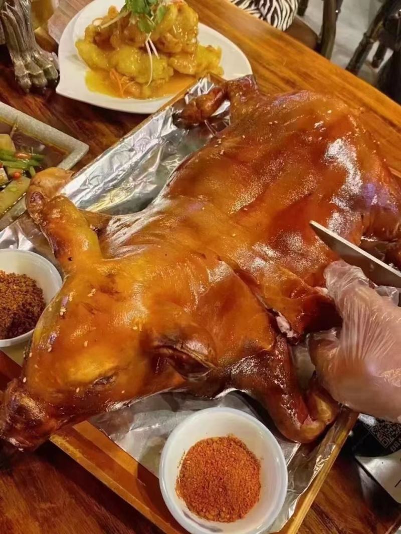 山东临沂烤乳猪品质保证全国发货