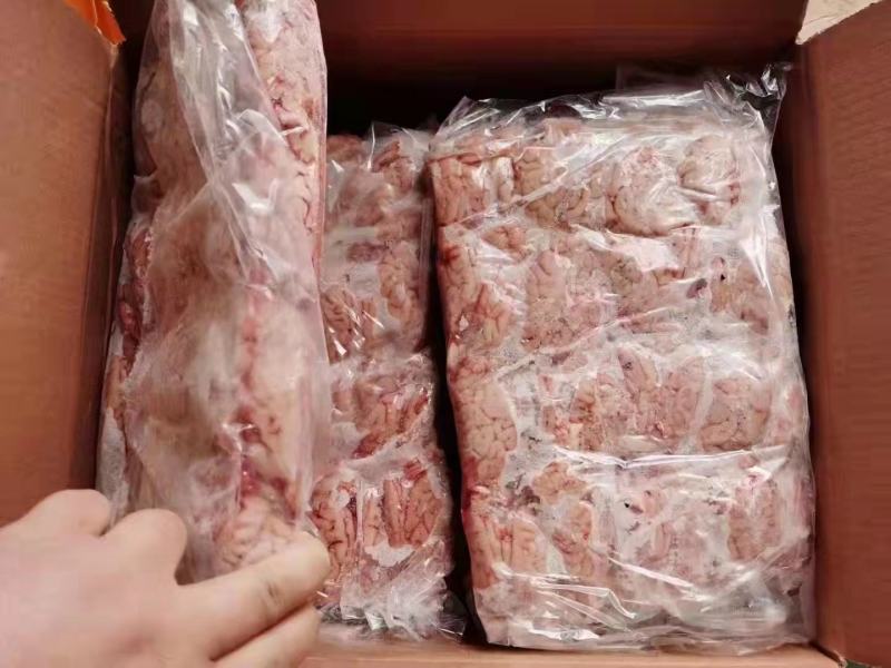山东精品猪脑花猪脑2.5元一个每件96个品质保证