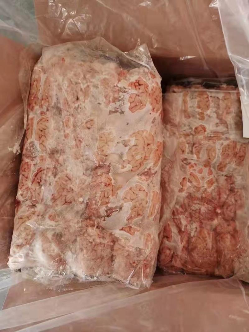 山东精品猪脑花猪脑2.5元一个每件96个品质保证