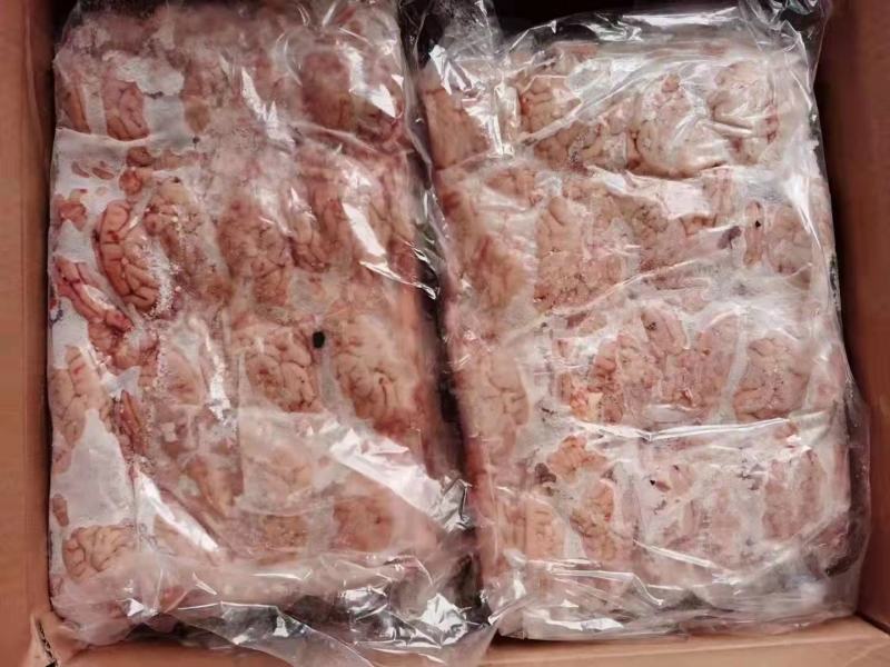 山东精品猪脑花猪脑2.5元一个每件96个品质保证