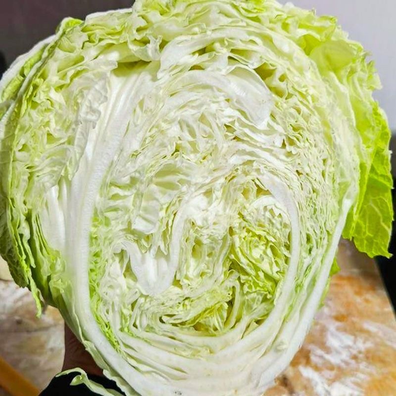 【实力供货】万亩夏阳白菜一手货源物美价廉可对接商超