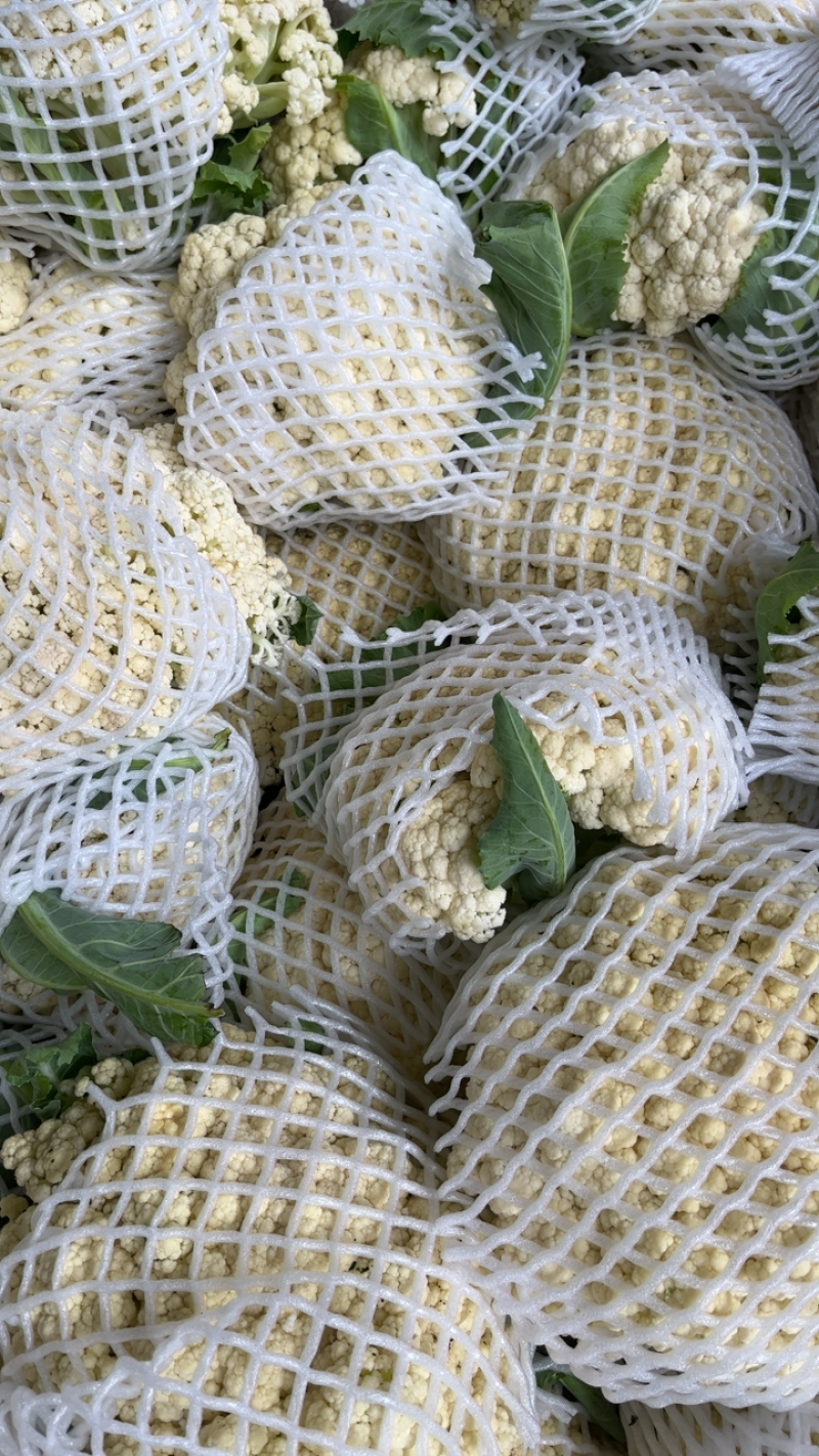 精品菜花白面青梗大量有货对接电商市场社区团购