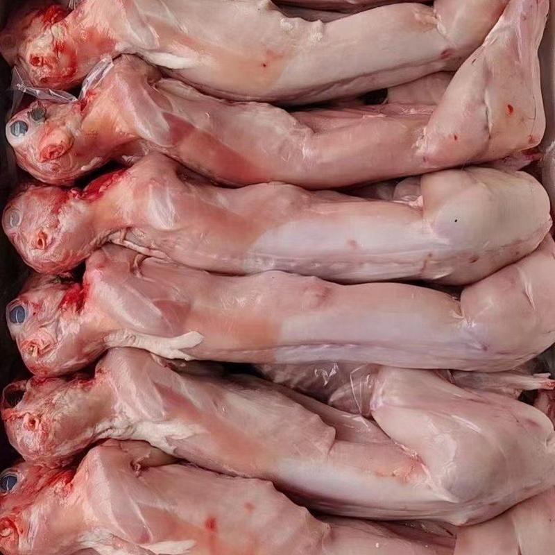 鲜兔肉现杀冷鲜肉规格齐全稳定货源全国发货
