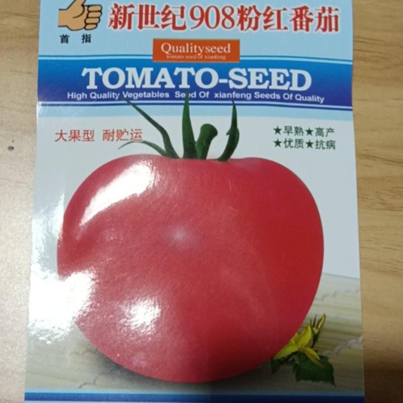 新世纪908粉红番茄种子