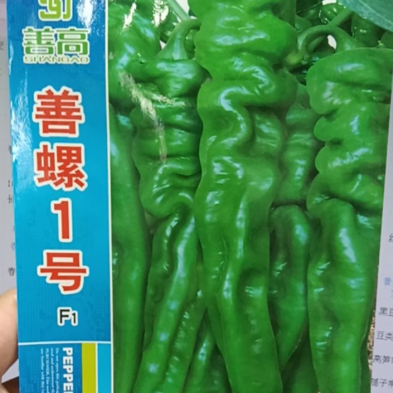 善螺一号辣椒种子螺丝辣椒种子