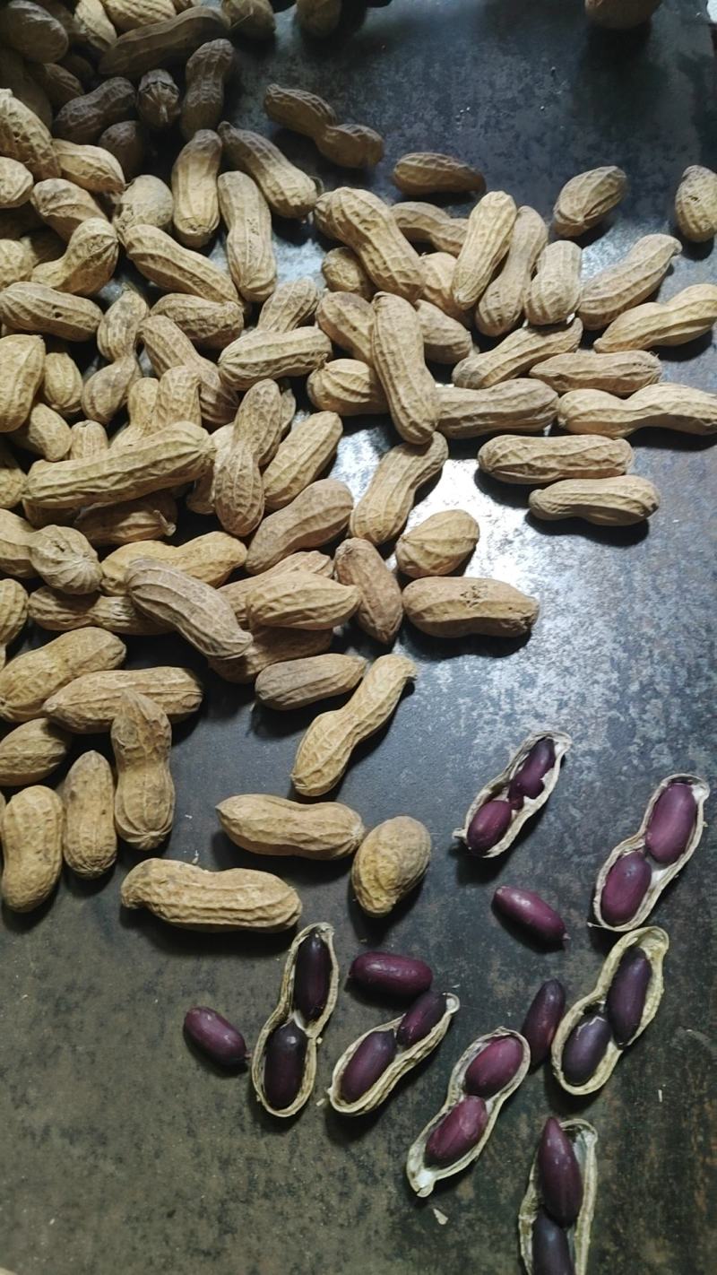 黑花生精选果，精选米，通货