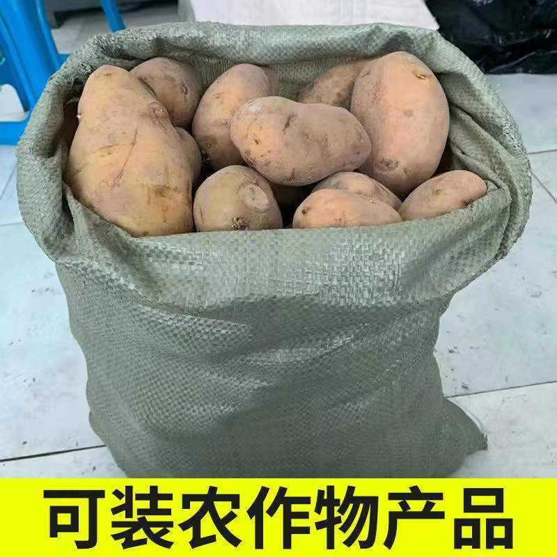 编织袋批发沙土建筑垃圾工地袋蛇皮袋快递物流打包袋一次性编