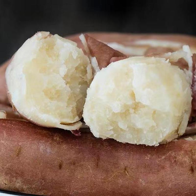 《红薯》山东哈密冰糖薯，白心红薯，一件代发，承接电商团购