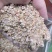 厂家直销烘干玉米皮喂鸡鸭鹅牛羊，饲料原料
