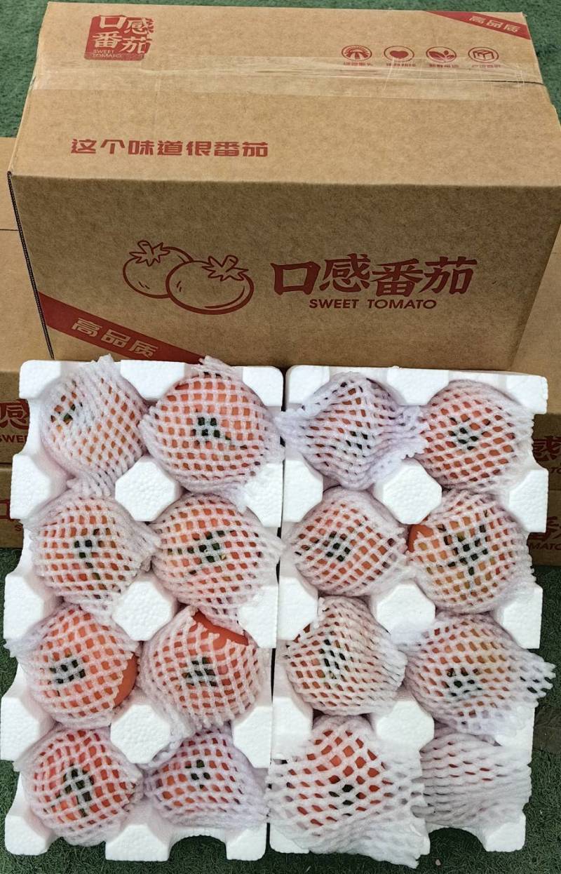 旺番天口感番茄普罗旺斯西红柿