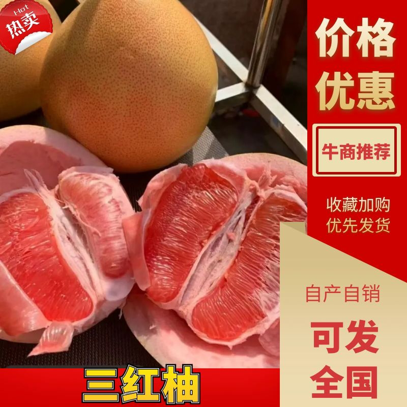 湖北蜜柚红心白心柚子三红柚子供应电商市场商超加工厂团购