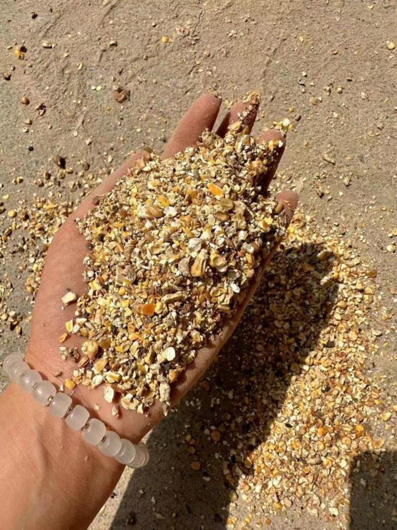 优质碎玉米(大颗粒)无土，无沙，无霉保质保量