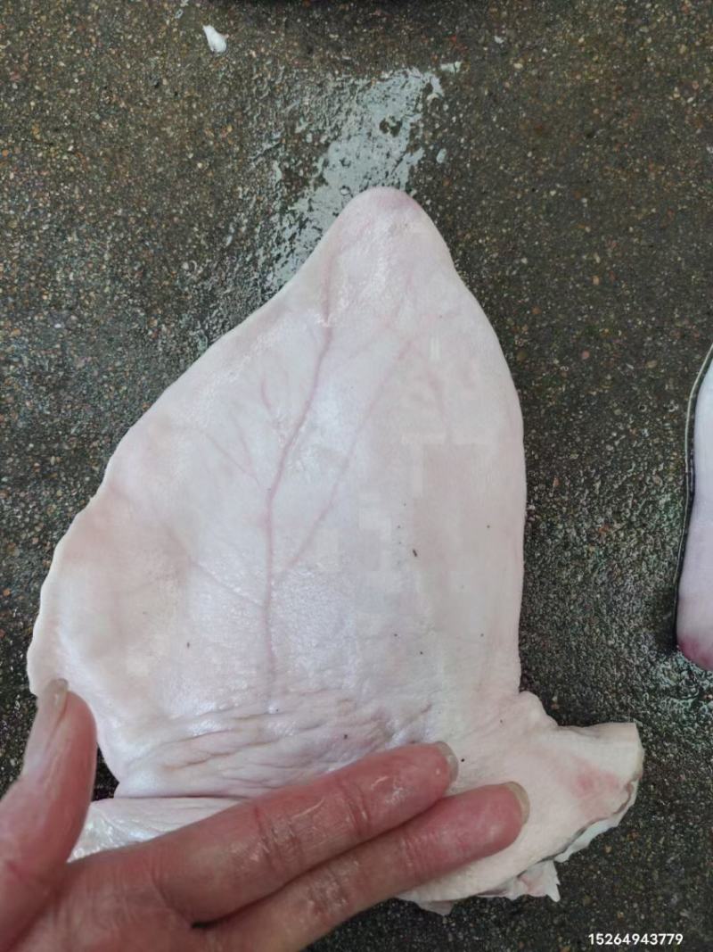 肥猪一级猪耳，国产纯干货32片左右